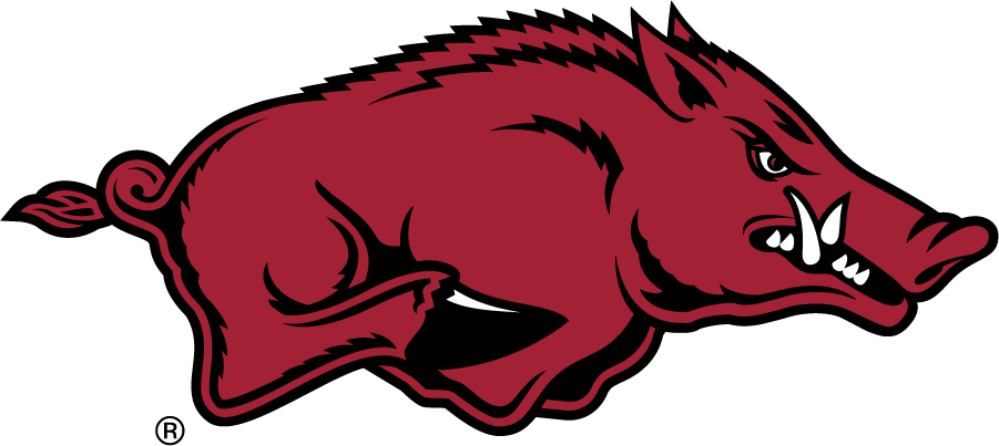 Arizona Wildcats 2013-Pres Secondary Logo diy iron on heat transfer